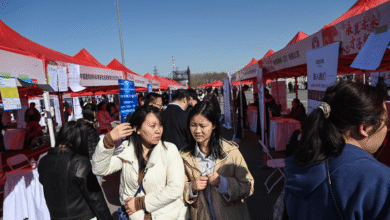 1763714309 Chinas AI Planners Are Fearful of Job Losses.png