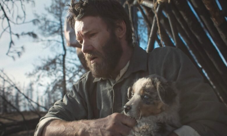 1763758221 The Surprising Studio Ghibli Film That Influenced Netflixs Train Dreams.jpg