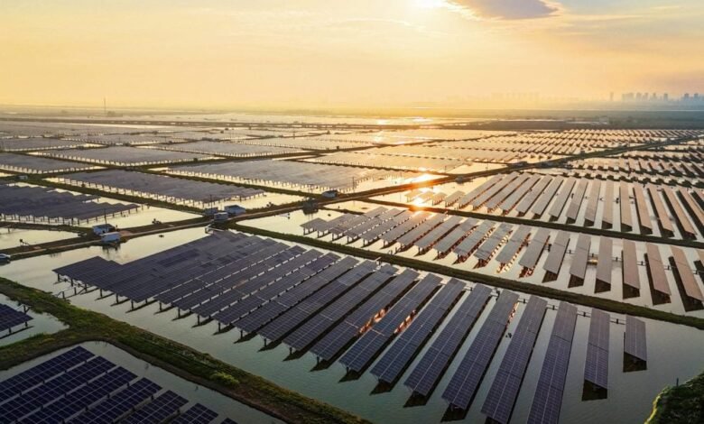 1763830459 Bill McKibben on How Solar Energy Is Transforming Geopolitics.jpg