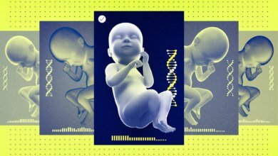 1764408422 Silicon Valley sets its sights on building the perfect baby.jpg