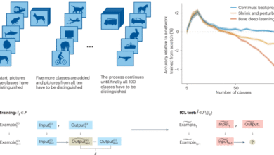 What neuroscience can tell AI about learning in continuously changing.png