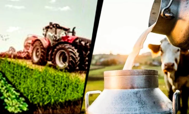 Agriculture protected What India kept out of the New Zealand.webp