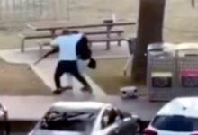 ‘Hero who tackled Bondi gunman draws global praise.jpg