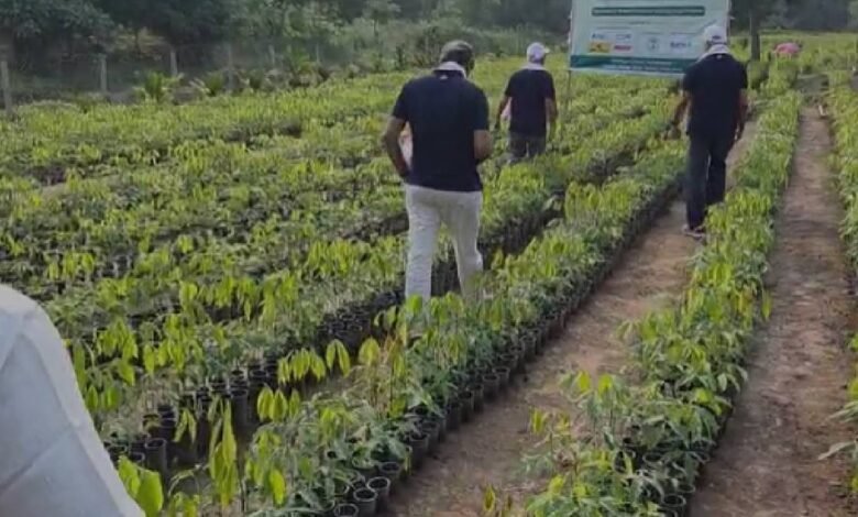 ‘No birds no wildlife Nithin Kamaths case for native trees.jpeg