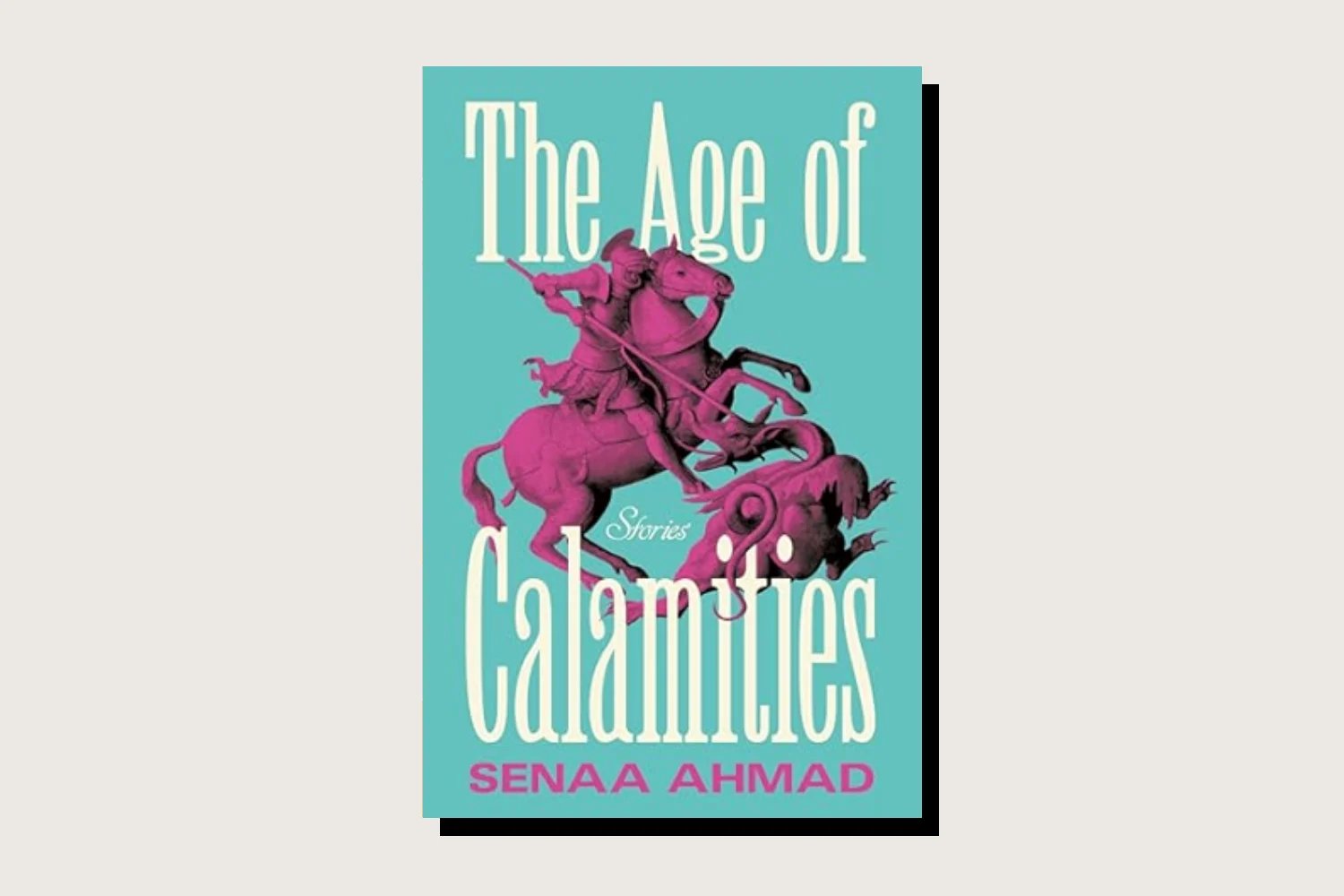 Cover of the book The Age of Misfortune