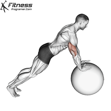 Stable ball push-up exercise