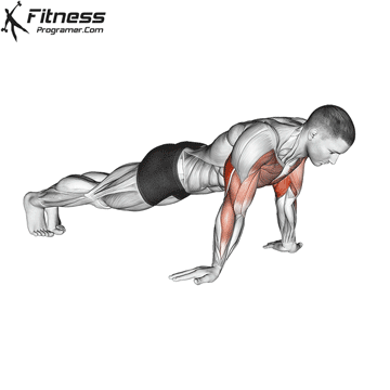 Reverse push-up exercise