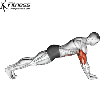 Forearm push-up exercise
