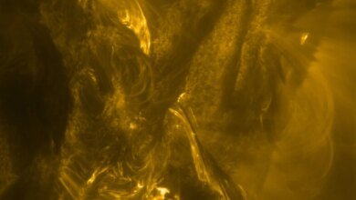 1769105256 Wild Video Captures the Violent Trigger Behind Solar Flares.jpg