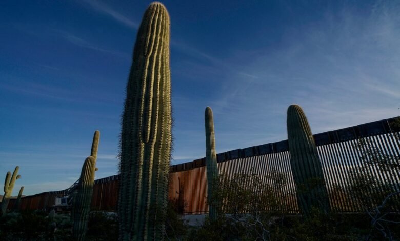 1769323504 As Trump Targets Borders a Poet Finds Their Language.jpg