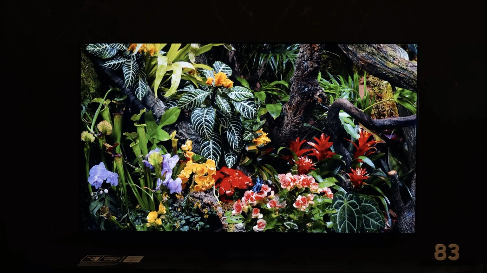 Flower, flower arrangement, plant