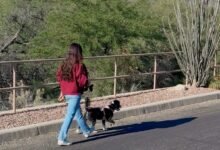 1769447868 Low Effort Wellness Habits That Actually Make a Difference.jpg