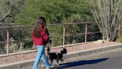 1769447868 Low Effort Wellness Habits That Actually Make a Difference.jpg