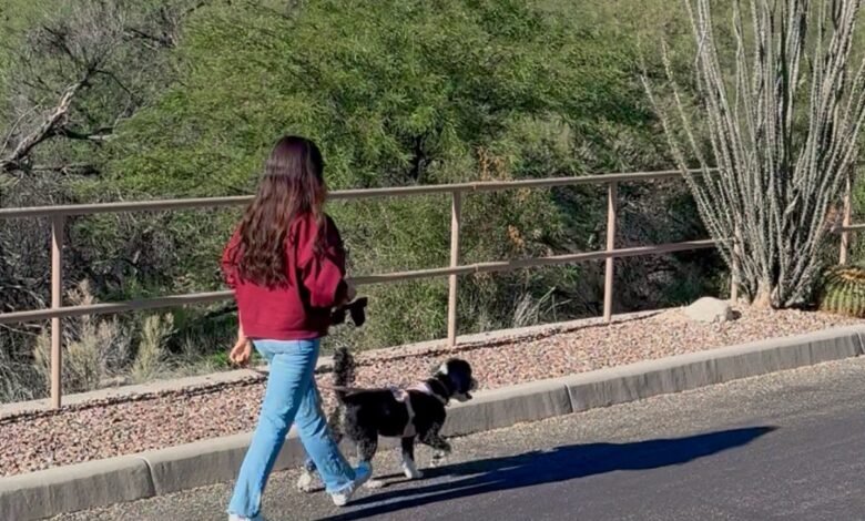 1769447868 Low Effort Wellness Habits That Actually Make a Difference.jpg