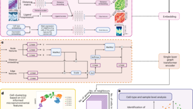 Inferring spatial single cell level interactions through interpreting cell state and niche.png