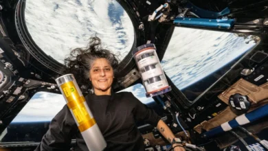 Long term effects a little worrisome Ex NASA astronaut Sunita.webp