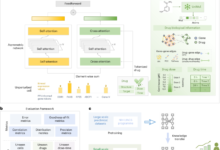 Modelling drug induced cellular perturbation responses with a biologically informed dual branch.png