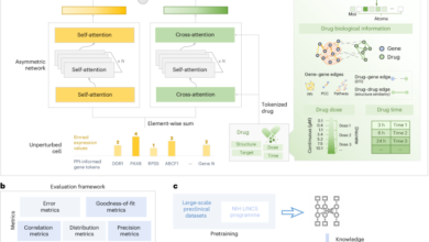 Modelling drug induced cellular perturbation responses with a biologically informed dual branch.png