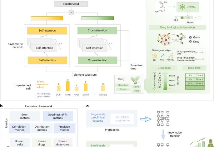 Modelling drug induced cellular perturbation responses with a biologically informed dual branch.png